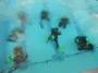 public:220515divetraining0002.jpg