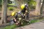 public:160507cascofire0067.jpg