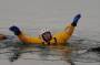 public:180213coldwaterrescue0057.jpg