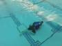 public:220226divetraining0037.jpg