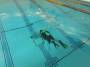 public:220226divetraining0057.jpg