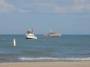 public:220714northbeachsearch0059.jpg