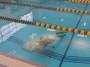 public:220226divetraining0017.jpg